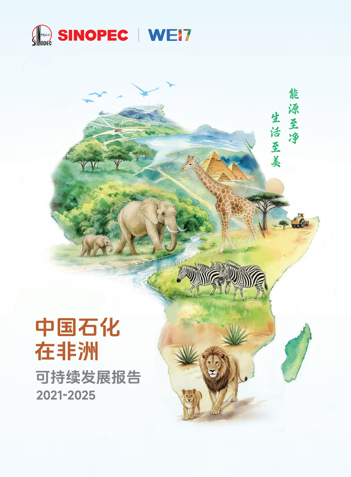 中国石化在非洲可持续发展报告在开罗发布